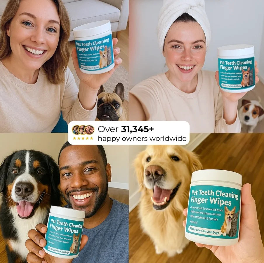 PetFin™ Pet Dental Finger Wipes