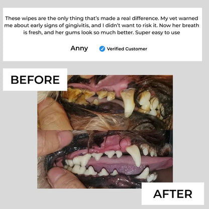 PetFin™ Pet Dental Finger Wipes