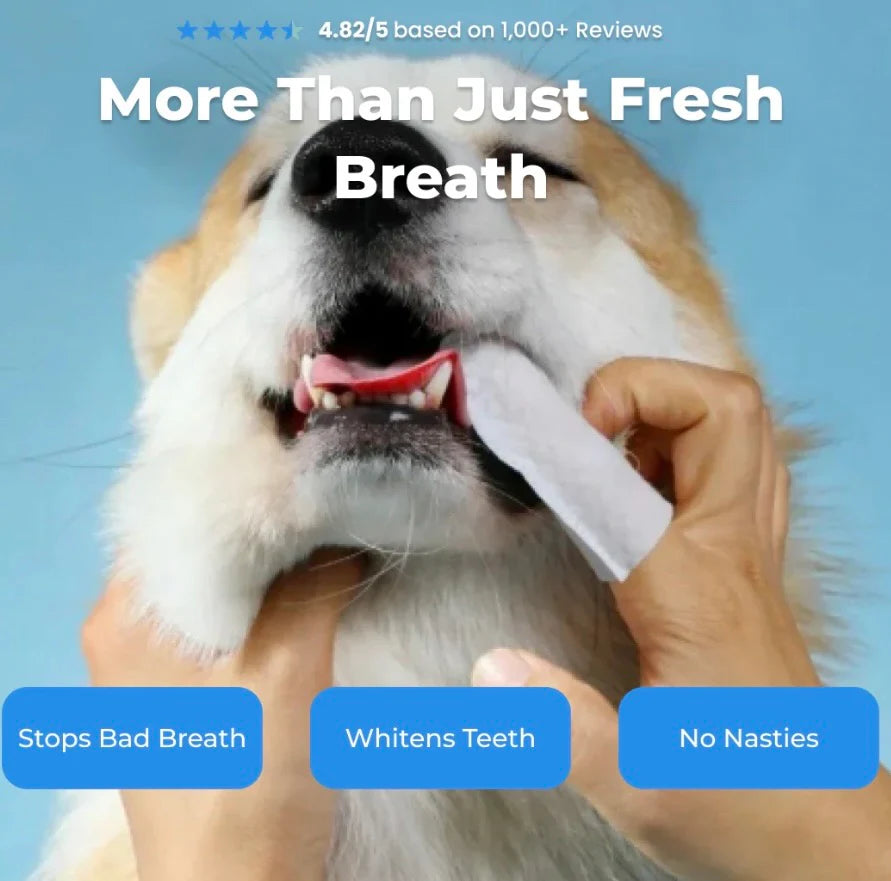 PetFin™ Pet Dental Finger Wipes